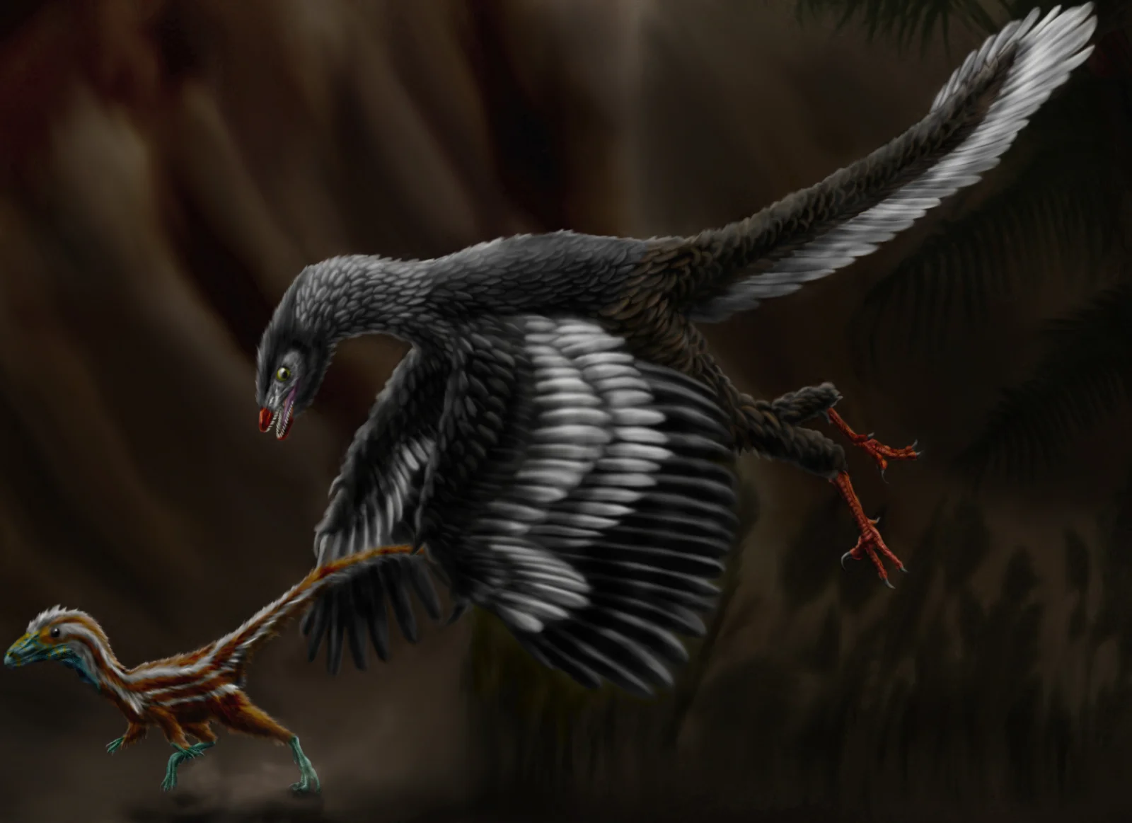 A dark Archaeopteryx with spread wings in a night scene.