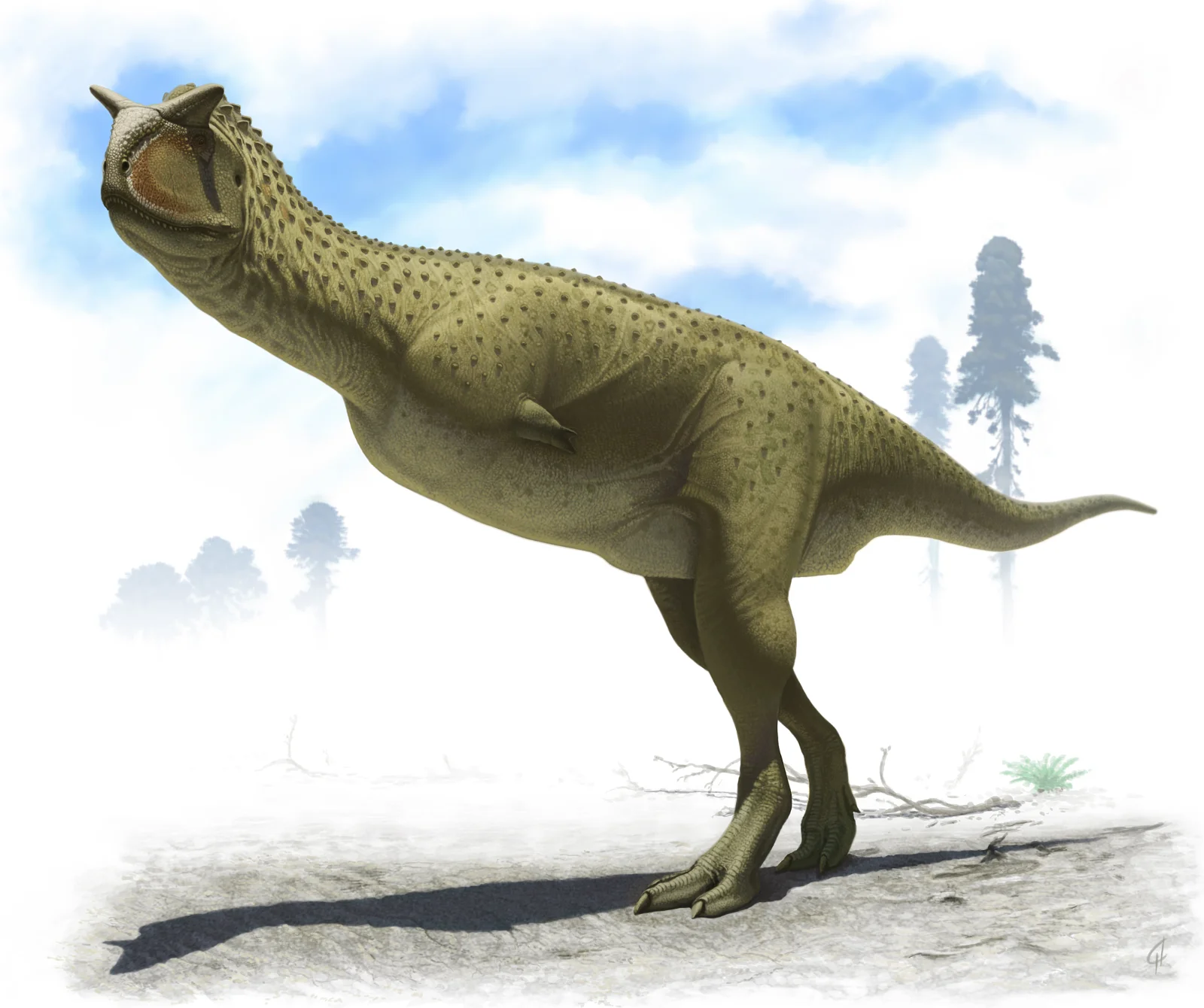 A two-horned Carnotaurus standing in soft light on rocky ground.