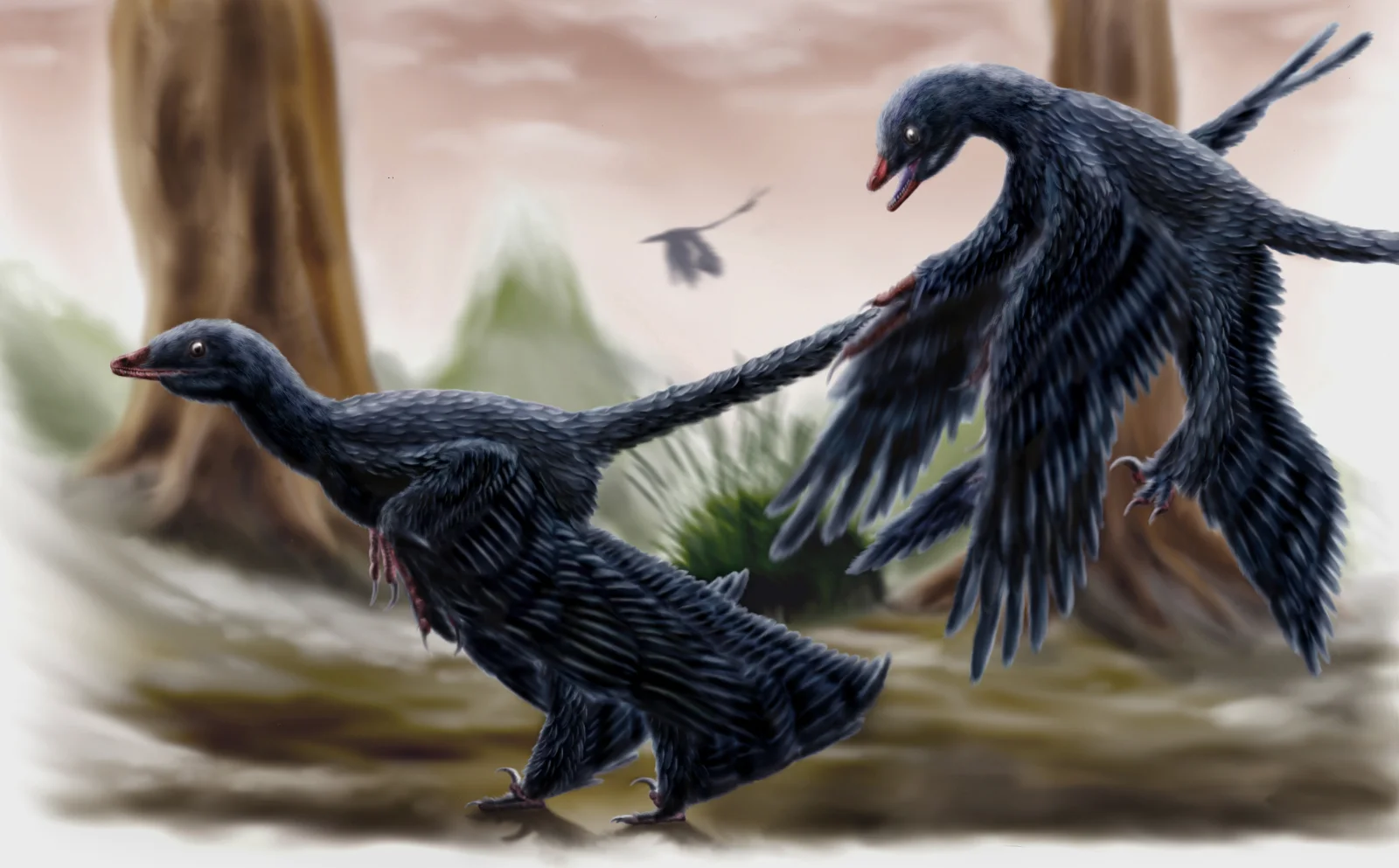 Two dark-feathered Microraptor in a bright forest.