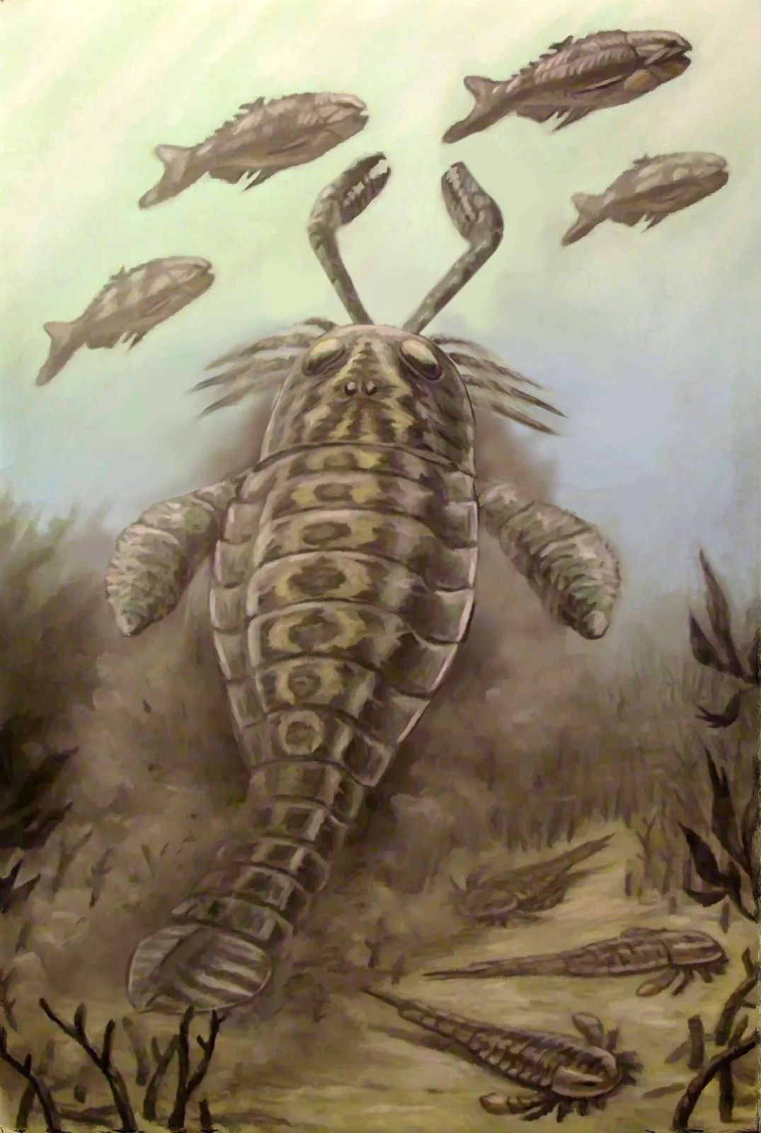 A Pterygotus with open pincers beneath bright water among fish.