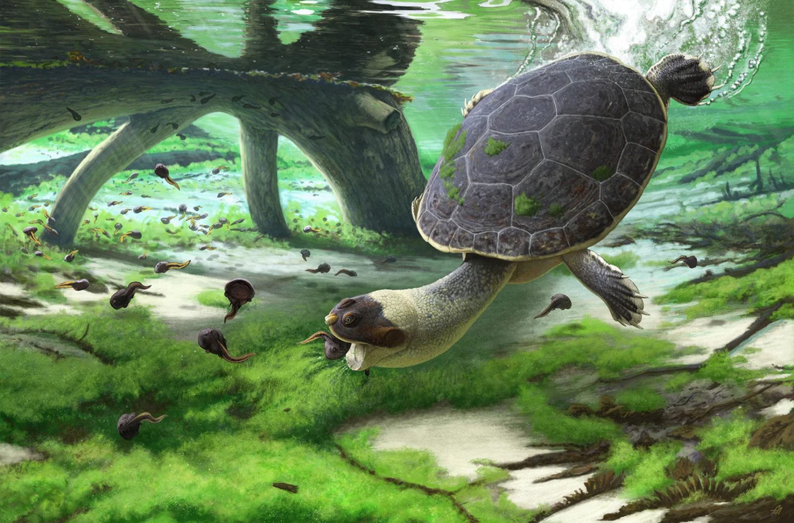 A prehistoric turtle in bright green water among small prey.