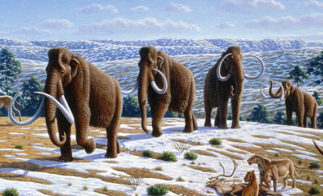 Painting of a woolly mammoth herd in a snowy northern Spanish landscape, with mountains and conifers.