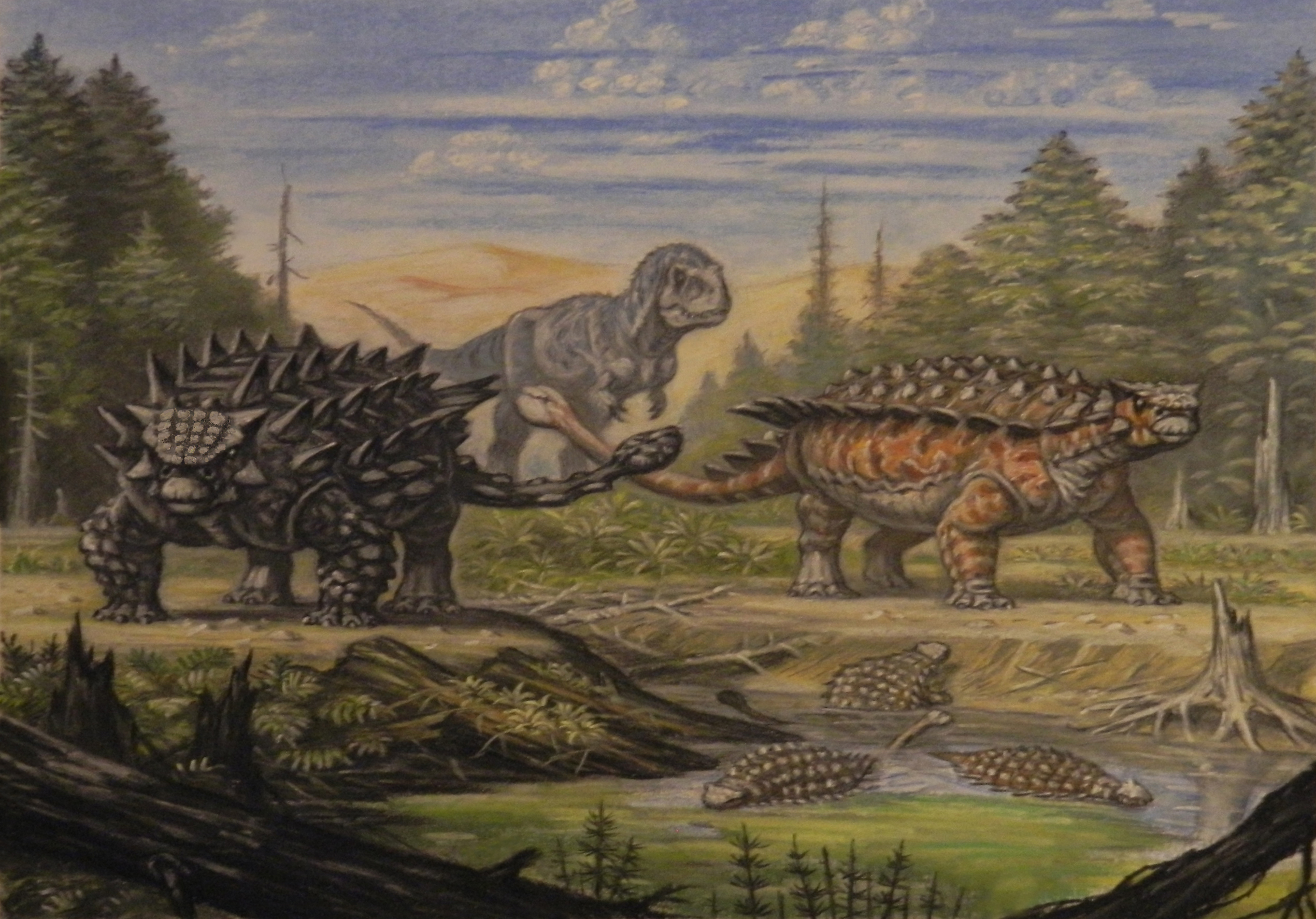 Painting of an armoured Saichania in an open forest, with a Pinacosaurus and a Tarbosaurus in the background.