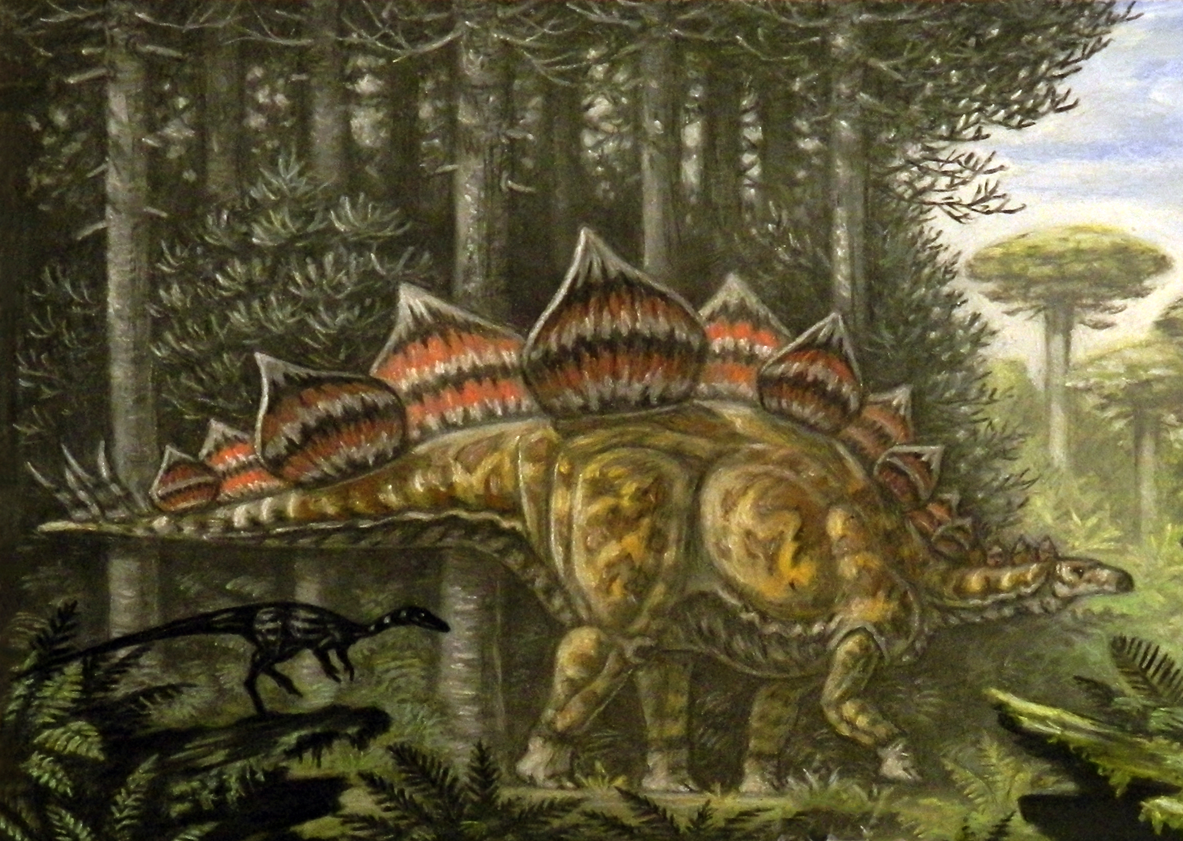 A painting of a Stegosaurus walking through a conifer forest, with a Coelurus in the foreground.